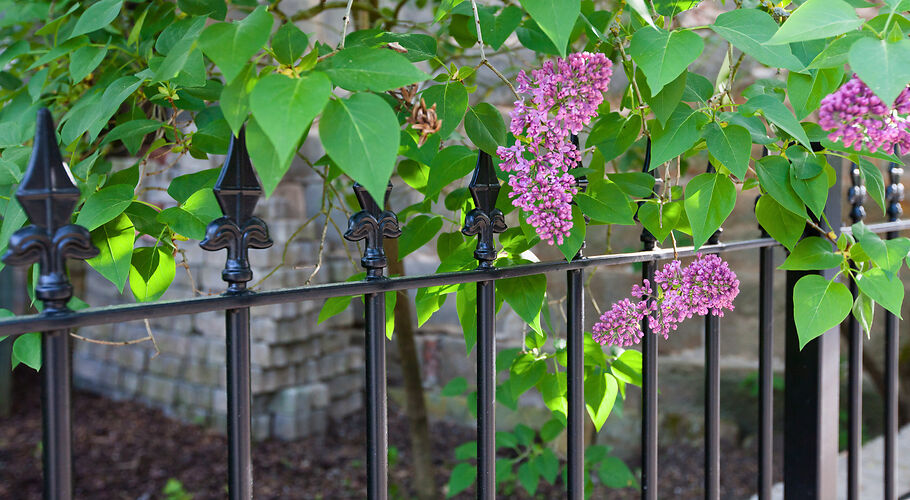 Creative fence design – stylish ideas for modern metal fences