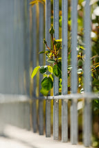 Zaun Padua mit Rosengrün Detail | Feuerverzinkt