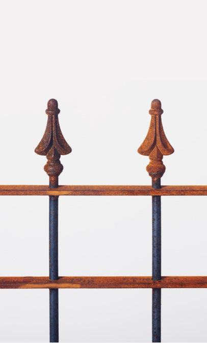 Nahaufnahme Zaun Pino mit Spitze Pinie| Unbeschichtet