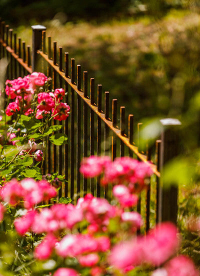 Padua fence, uncoated